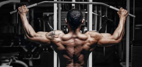 Myofibrillar Hypertrophy Workout Plan | EOUA Blog