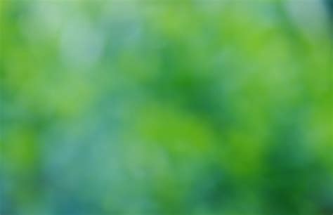 Blurred Background Green Free Stock Photo - Public Domain Pictures