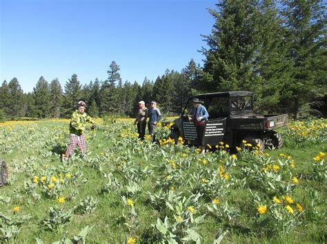 Fishing/Outdoor Adventure Program – Williams Lake Sportsmen's Association