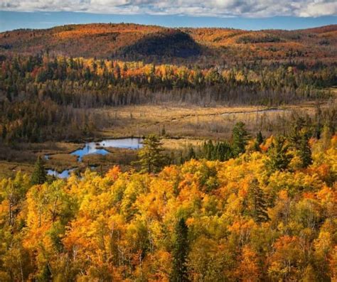 Over 25 Places to Enjoy Minnesota Fall Colors