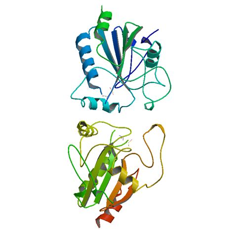 Glutathione peroxidase - Wikipedia