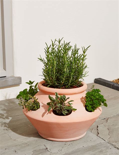 Herbs In Terra Cotta Pots - Best Decorations