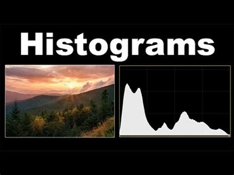 A Beginner’s Intro to Using Histograms to Check and Nail Exposure - 2017 Top Social Media Auto ...