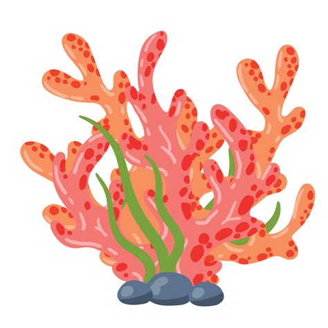 Coral reef and seaweed underwater plant. Aquarium, ocean and undersea ...