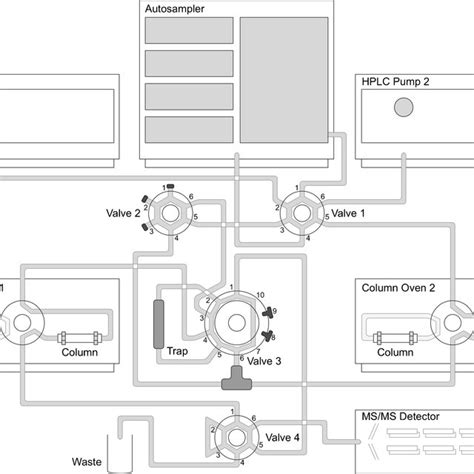 Tested columns during 2D-LC-MS/MS method development | Download ...