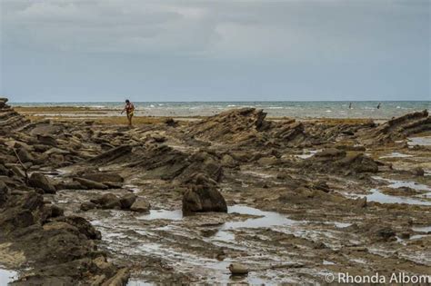 Wondering Why It's Called Pink Beach? (Auckland, New Zealand)