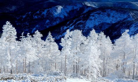 大兴安岭呼中白山景区奇美风光之一