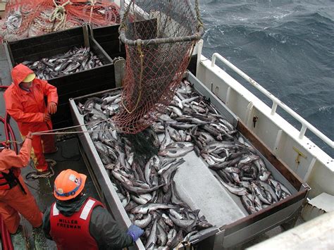 A New Approach to Overfishing - Georgetown Public Policy Review