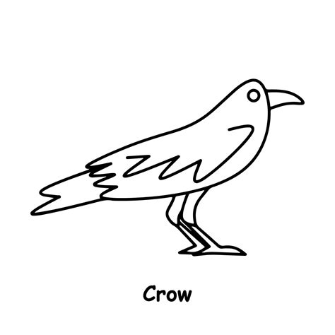 crow line drawing 5994358 Vector Art at Vecteezy