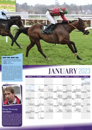 Irish Racing Calendar