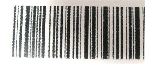 Zebra LP 2844-Z Ebay Labels are Blurry : Flipping