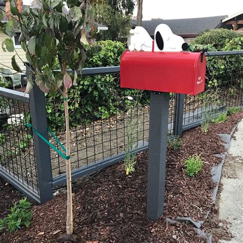 Cat Mailboxes Grey Cat Mailbox | Etsy | Mailbox design, Mailbox, Old mailbox