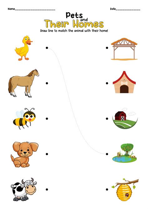 13 My Pet Worksheet Printable - Free PDF at worksheeto.com