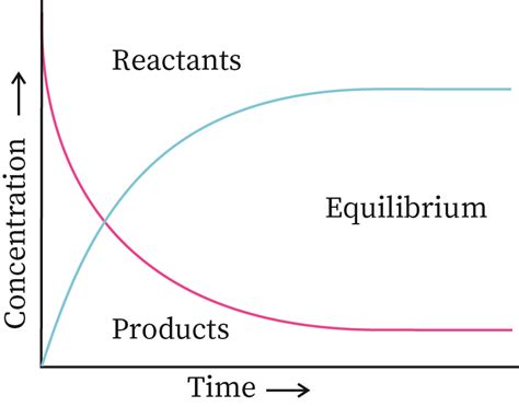 Chemical Equilibrium | bartleby