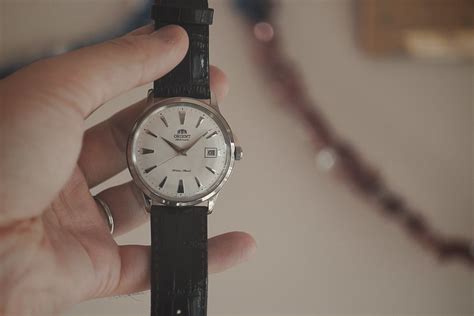 Orient Bambino Watches - The Complete Guide - WatchRanker