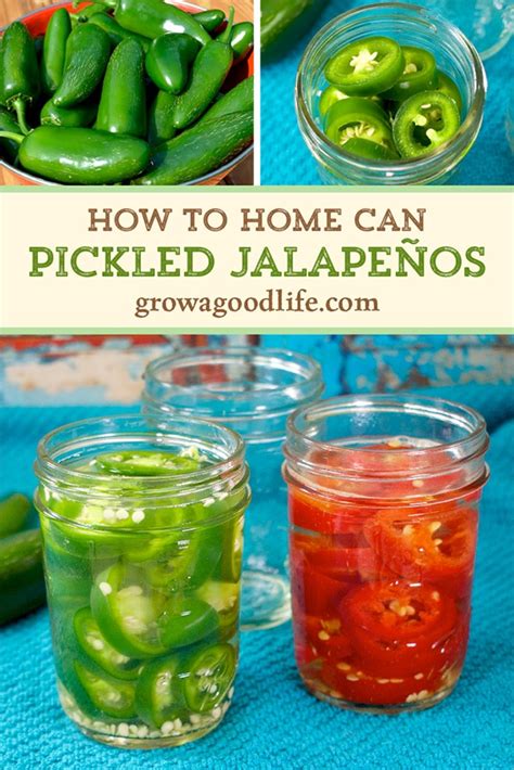 Pickled Jalapeño Pepper Rings Canning Recipe