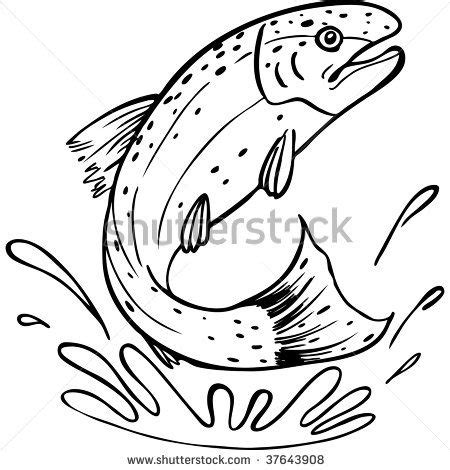 Rainbow Trout Pictures Free | Trout Line Art Stock Photo 37643908 ...