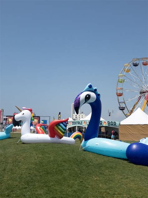 A Field of Giant Pool Floats | Should I Go to Hangout Music Festival ...