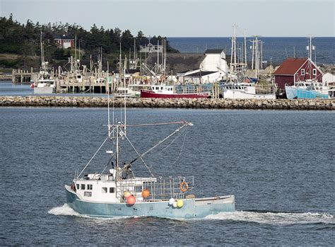 Economies of all four Atlantic provinces projected to grow through 2020 - The Globe and Mail