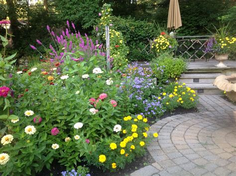 20 Zinnia Garden Design Ideas To Try This Year | SharonSable