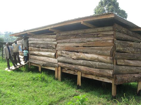 How to build a cheap goat shed | Quick easy