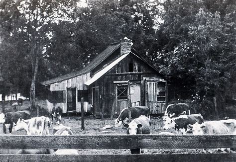 Springville Historical Museum - TULARE COUNTY TREASURES