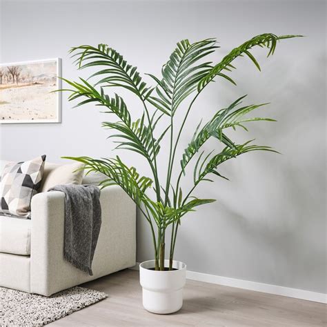 FEJKA Artificial potted plant, indoor/outdoor Kentia palm, 9" - IKEA