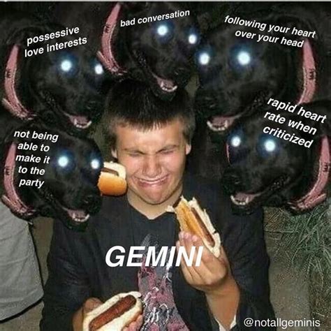 15 Gemini Season Memes to Wish Your Favorite Air Sign a Happy Birthday