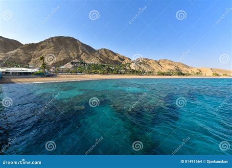 Red Sea Coral Reef in Eilat, Israel Stock Photo - Image of landscape, mountain: 81491664