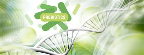 Health Benefits of Bacillus Probiotics