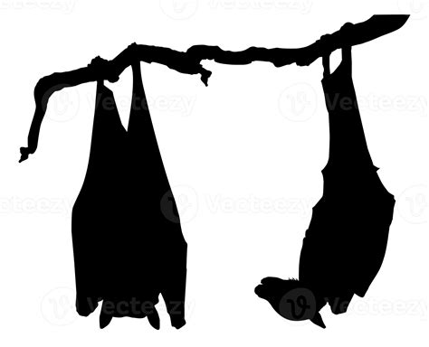 Sleeping Bat on the Branch Tree Silhouette for Halloween Poster, Art ...