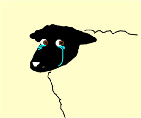 crying sheep - Drawception