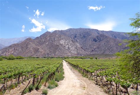 luxury Argentina wine tours (3) | Artisans of Leisure | Luxury travel blog: Private ...