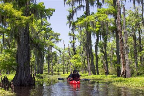 New Orleans Kayak Tours | New Orleans Kayak Swamp Tours