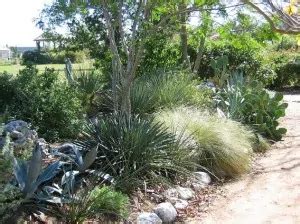 Xeriscaping in Texas | South Austin Irrigation Repair Austin, Dripping Springs, Buda, Wimberley Tx