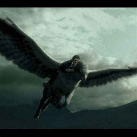 THE Hippogriff | Harry Potter Amino