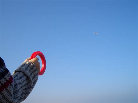Free Images : hand, sky, play, wind, seagull, summer, flight, autumn ...