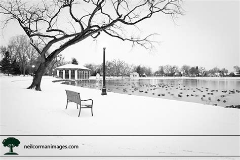 Behind the Picture: Winter in Washington Park - Neil Corman Photography