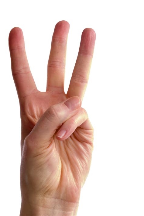 Fingers PNG Transparent Fingers.PNG Images. | PlusPNG