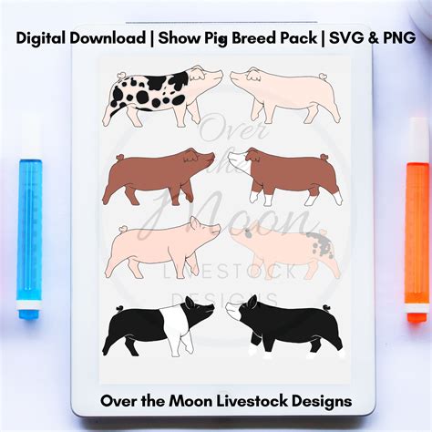 Show Pig Breeds Digital Download Designs SVG & PNG ULTIMATE Pig Pack 9 ...