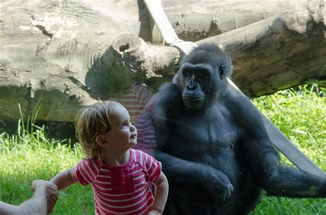 Discover America's First Zoo – Philadelphia Zoo