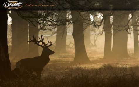 Bow Hunting Wallpaper (63+ images)