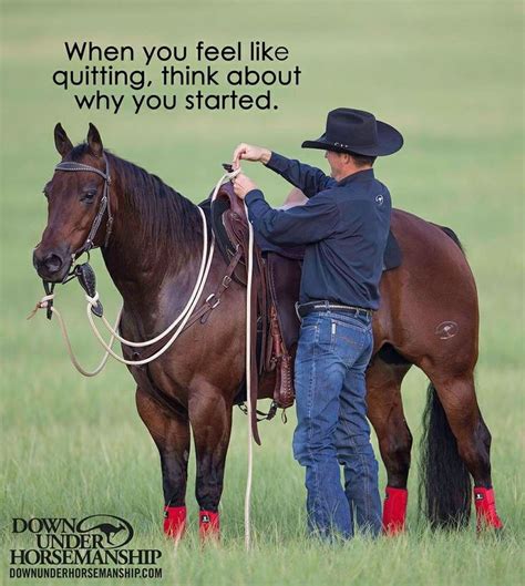 Best 25+ Clinton anderson ideas on Pinterest | Horse quotes, Natural ...