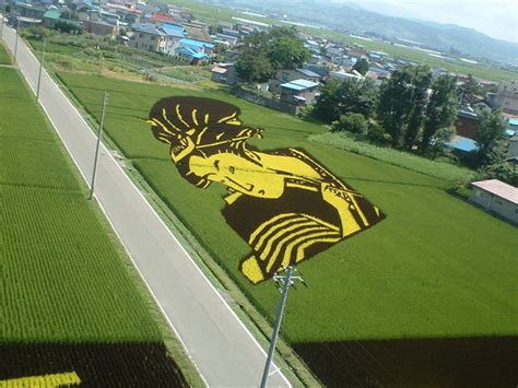 Rice fields are canvases for Japanese people! Amazing art in rice ...