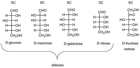 Monosaccharides Structure