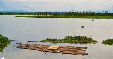 Lakawero: AGUSAN MARSH WILDLIFE SANCTUARY: One Humbling Experience