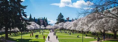 About the UW & Seattle | UW Summer Sessions