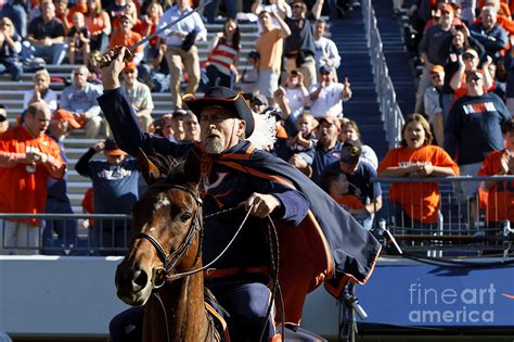 University of Virginia Mascot Virginia Cavaliers Photograph by Jason O ...