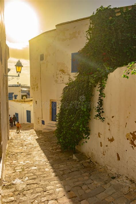 Sidi Bou Said, Famouse Village with Traditional Tunisian Architecture ...