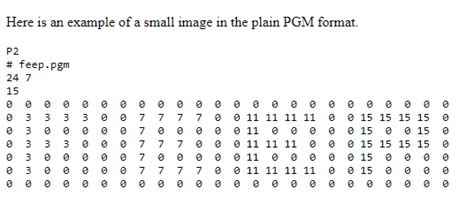 Solved How do you read a PGM file's "matrix" into a 2D array | Chegg.com